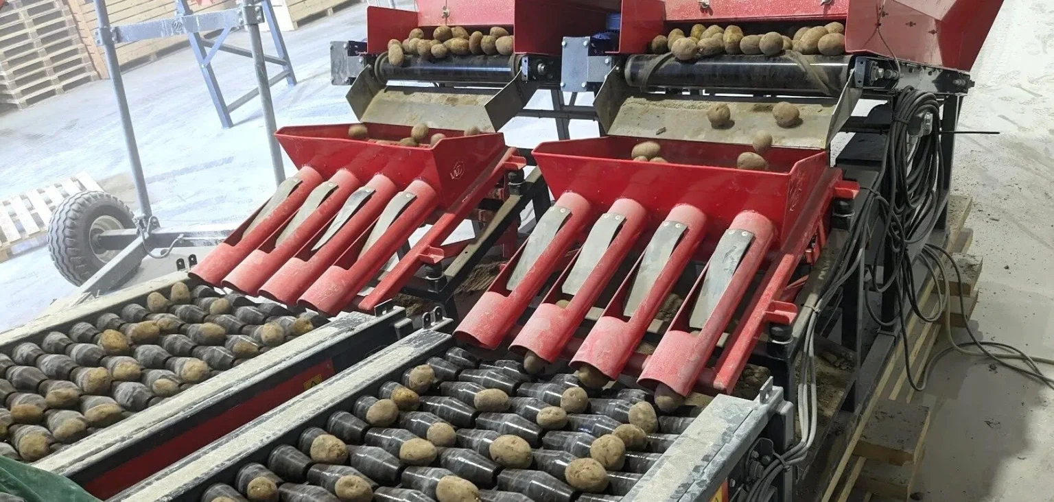 Snijden en voorkiemen