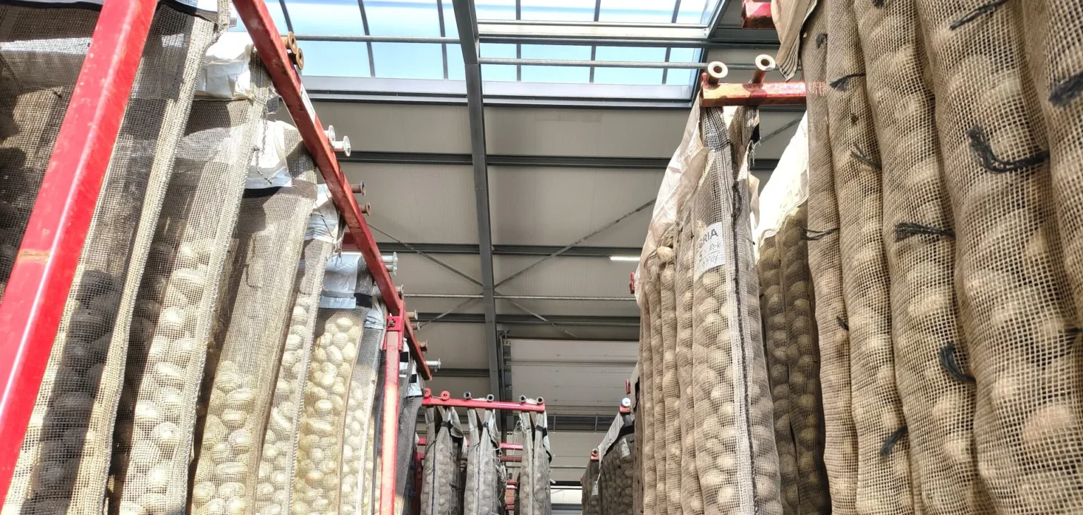 De poters krijgen goede belichting